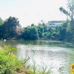 Sold Out ขายที่ดินติดแม่น้ำเพชรบุรีท่ายาง 17 ไร่ 82 ตร.ว. รูปที่ 6