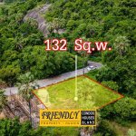 ขายที่ดินใกล้ทะเลปราณบุรี 132 ตร.ว. ฿8,900,000 รูปที่ 7